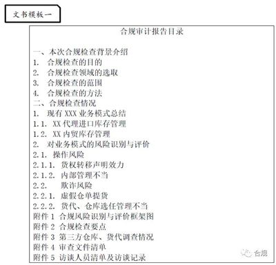 互聯(lián)網(wǎng)銷售企業(yè)合規(guī)審查實(shí)操指南 ——基于國(guó)資委《中央企業(yè)合規(guī)管理指引》的解讀與行動(dòng)